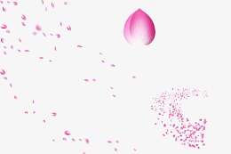 红色大花瓣小花瓣漂浮