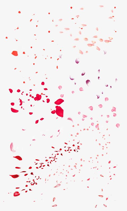 飞舞玫瑰花瓣图片