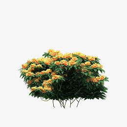 花丛图片素材