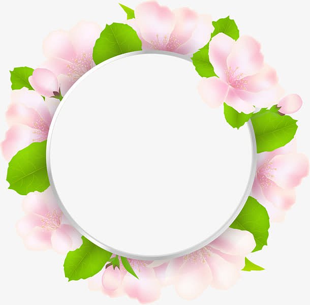 粉色花卉圆形边框海报背景