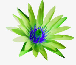 绿色植物花朵免抠素材免费下载_觅元素51yuansu.com