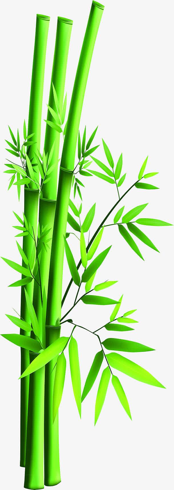 端午节竹子竹叶绿色装饰