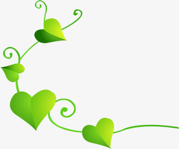 心形叶子藤蔓装饰