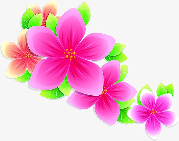 粉色花卉花朵