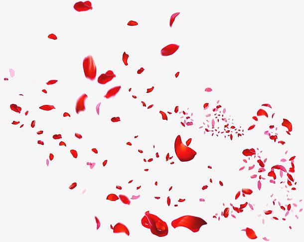 飞舞的红色玫瑰花瓣
