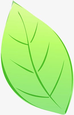 绿色树叶简笔画