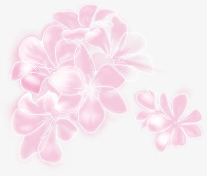 粉色珠光花卉背景七夕情人节