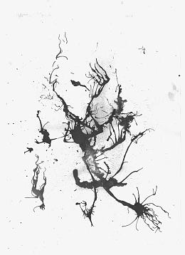 水墨简笔画树林笔刷