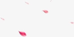 粉玫瑰花飘舞图片