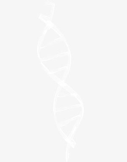 白色dna基因图案