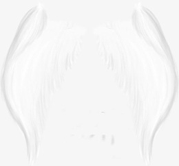 天使的双翼翅膀