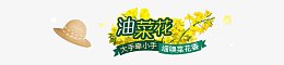 油菜花背景素材