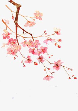 手绘花枝红色花朵