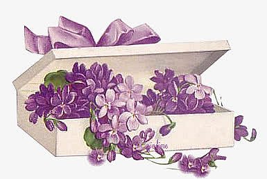紫色小花紫色彩带白盒