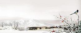 唯美冬季背景