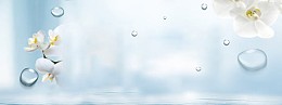 素雅海报