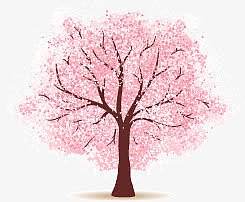 粉色樱花树素材