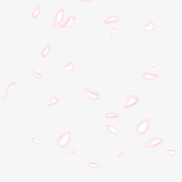 白色散状漂浮花瓣