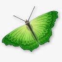 绿色蝴蝶元素