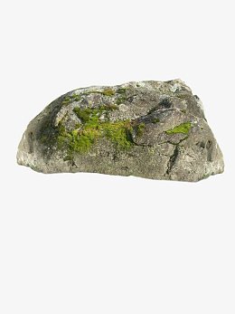 长满青苔石头