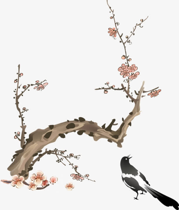 曲折的枝干梅花