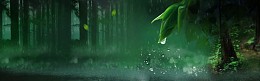夜晚森林树林梦幻背景banner