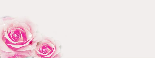 粉玫瑰温馨背景