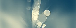 婚纱照奢华背景banner