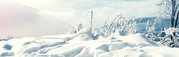 冬天雪景banner创意设计