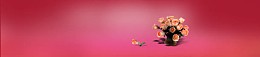 奢华淘宝女包紫红色背景banner