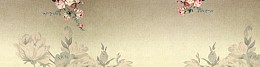 中国风淘宝中年女装服饰背景banner