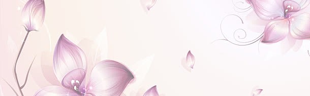 浅色花朵海报背景
