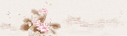 中国风莲花背景