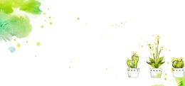 水彩图案与盆里的花卉背景