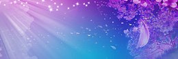 婚纱照紫色梦幻唯美背景banner