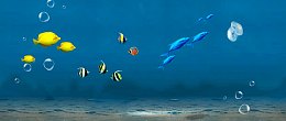 海底鱼群气泡背景banner