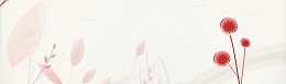 女装简约背景banner设计