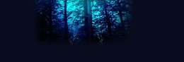 深色光线树林梦幻背景banner