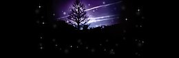 黑色夜景树林背景banner