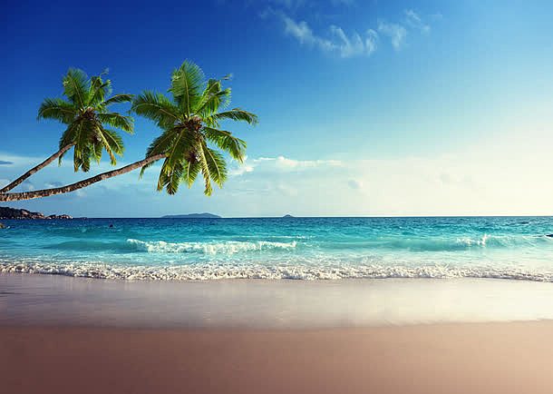 美丽海滩椰树风景图片