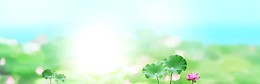 淘宝护肤品相宜本草荷花清新背景banner