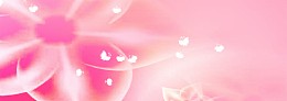 婚纱照粉色温馨背景banner