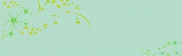 浅绿色柔和背景banner
