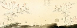 复古风莲花背景