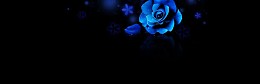 蓝色玫瑰花梦幻背景banner