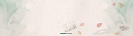 秋天秋季淘宝女装文艺范飘叶背景banner