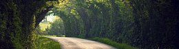 绿荫公路banner创意设计