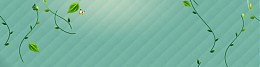 简约大气淘宝广告banner