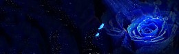 蓝色玫瑰梦幻星光背景banner