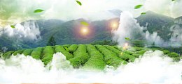 大山绿色背景